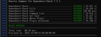 Code-Audit-DependencyCheck